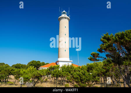 Croazia, isola di Dugi Otok, bellissimo vecchio faro di Veli Rat sulla pietra a riva tra i pini Foto Stock