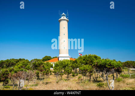 Croazia, isola di Dugi Otok, bellissimo vecchio faro di Veli Rat sulla pietra a riva tra i pini Foto Stock