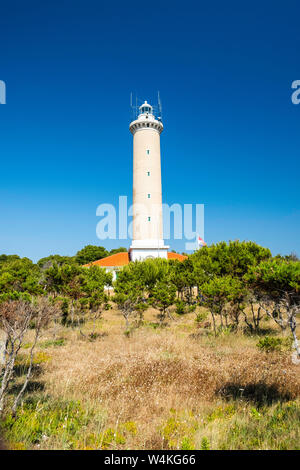 Croazia, isola di Dugi Otok, bellissimo vecchio faro di Veli Rat sulla pietra a riva tra i pini Foto Stock
