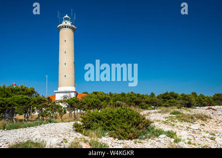 Croazia, isola di Dugi Otok, bellissimo vecchio faro di Veli Rat sulla pietra a riva tra i pini Foto Stock