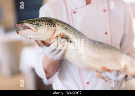 Lo Chef mantenere il salmone. Lo chef taglia il salmone sul tavolo. Foto Stock