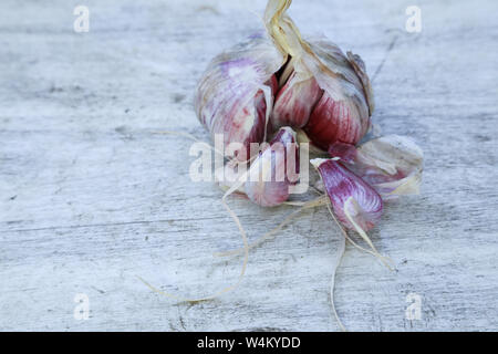 Aglio fresco sulla tavola vintage close up, bulbo aglio, spicchi di aglio nella ciotola di legno, Foto Stock