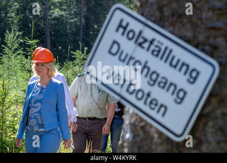 24 luglio 2019, Meclemburgo-Pomerania, Gädebehn: Manuela Schwesig (SPD), il primo ministro del Land Meclemburgo-Pomerania occidentale, informerà se stessa circa il settore del legno in stato il primo giorno del suo tour estivo al Gädebehn ufficio forestale. Sulla destra si trova un cartello con la scritta: passaggio di accesso vietato. Visite Schwesig imprese e strutture nel meclemburgopomerania occidentale sul suo sei giorni di tour estivo. Foto: Jens Büttner/dpa-Zentralbild/dpa Foto Stock