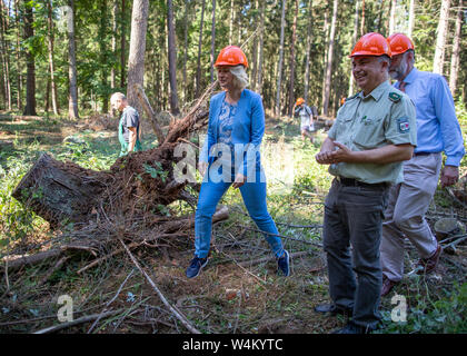 24 luglio 2019, Meclemburgo-Pomerania, Gädebehn: Manuela Schwesig (SPD), il primo ministro del Land Meclemburgo-Pomerania occidentale, informerà se stessa circa il settore del legno in stato il primo giorno del suo tour estivo al Gädebehn ufficio forestale. Visite Schwesig imprese e strutture nel meclemburgopomerania occidentale sul suo sei giorni di tour estivo. Foto: Jens Büttner/dpa-Zentralbild/dpa Foto Stock