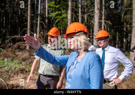 24 luglio 2019, Meclemburgo-Pomerania, Gädebehn: Manuela Schwesig (SPD), il primo ministro del Land Meclemburgo-Pomerania occidentale, informerà se stessa circa il settore del legno in stato il primo giorno del suo tour estivo al Gädebehn ufficio forestale. Visite Schwesig imprese e strutture nel meclemburgopomerania occidentale sul suo sei giorni di tour estivo. Foto: Jens Büttner/dpa-Zentralbild/dpa Foto Stock