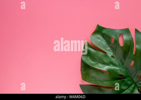 Verde foglie tropicali monstera su sfondo rosa con copia spazio. flat laico, vista dall'alto Foto Stock