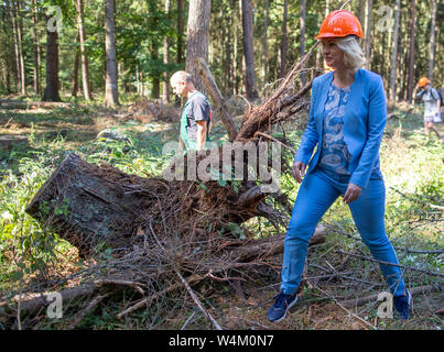 24 luglio 2019, Meclemburgo-Pomerania, Gädebehn: Manuela Schwesig (SPD), il primo ministro del Land Meclemburgo-Pomerania occidentale, informerà se stessa circa il settore del legno in stato il primo giorno del suo tour estivo al Gädebehn ufficio forestale. Visite Schwesig imprese e strutture nel meclemburgopomerania occidentale sul suo sei giorni di tour estivo. Foto: Jens Büttner/dpa-Zentralbild/dpa Foto Stock