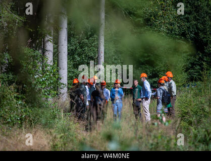 24 luglio 2019, Meclemburgo-Pomerania, Gädebehn: Manuela Schwesig (SPD, M), il primo ministro del Land Meclemburgo-Pomerania occidentale, informa di sé il primo giorno del suo tour estivo al Gädebehn ufficio forestale circa l'industria del legno in stato . Visite Schwesig imprese e strutture nel meclemburgopomerania occidentale sul suo sei giorni di tour estivo. Foto: Jens Büttner/dpa-Zentralbild/dpa Foto Stock