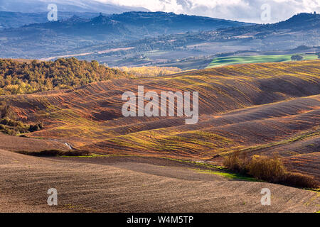 Tipico paesaggio toscano con colline colorate in autunno. Toscana. In provincia di Siena. L'Italia. Europa Foto Stock