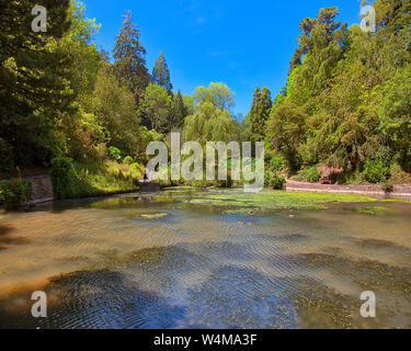 GB - DEVON: i laghi di Cockington vicino a Torquay (HDR-immagine) Foto Stock