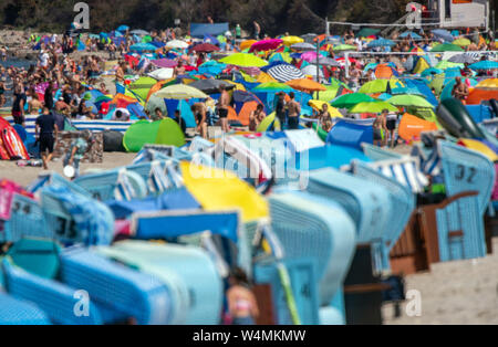 24 luglio 2019, Meclemburgo-Pomerania, Rerik: numerosi bagnanti per rilassarsi sulla spiaggia. Le elevate temperature estive fino a trenta gradi attrarre i turisti ed escursionisti a costa del Mar Baltico. Foto: Jens Büttner/dpa-Zentralbild/dpa Foto Stock