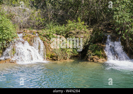 Piccole cascate del fiume di Bonito MS, Brasile. Foto Stock