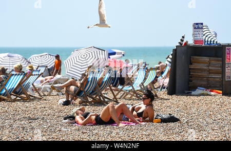Brighton Regno Unito 24 luglio 2019 - la spiaggia di Brighton è impaccato nuovamente come il caldo clima soleggiato in tutta la Gran Bretagna continua. L'ondata di caldo in condizioni meteo per continuare domani e le temperature sono attesi per colpire i nuovi record con esso di raggiungere alte come 39 gradi Celsius a Londra . Credito: Simon Dack / Alamy Live News Foto Stock