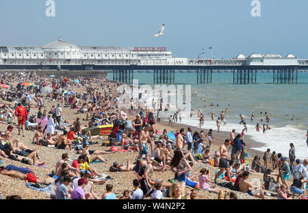 Brighton Regno Unito 24 luglio 2019 - la spiaggia di Brighton è impaccato nuovamente come il caldo clima soleggiato in tutta la Gran Bretagna continua. L'ondata di caldo in condizioni meteo per continuare domani e le temperature sono attesi per colpire i nuovi record con esso di raggiungere alte come 39 gradi Celsius a Londra . Credito: Simon Dack / Alamy Live News Foto Stock