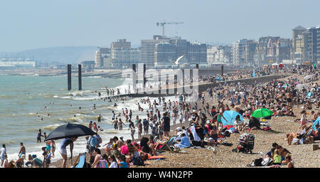 Brighton Regno Unito 24 luglio 2019 - la spiaggia di Brighton è impaccato nuovamente come il caldo clima soleggiato in tutta la Gran Bretagna continua. L'ondata di caldo in condizioni meteo per continuare domani e le temperature sono attesi per colpire i nuovi record con esso di raggiungere alte come 39 gradi Celsius a Londra . Credito: Simon Dack / Alamy Live News Foto Stock
