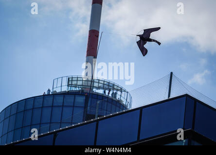 24 luglio 2019, Assia, Frankfurt/Main: nella forma di un uccello da preda, un panno dragon pende da una piccolo montante sul tetto di uno dei grattacieli di Francoforte per spaventare ed allontanare le colombe. Foto: Frank Rumpenhorst/dpa Foto Stock