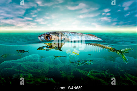 Inquinamento di plastica in marine problemi ambientali animali in mare non può vivere. E causare inquinamento plastica nell'oceano (concetto ambientale) Foto Stock