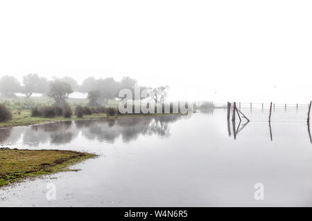 Paesaggio di nebbia nelle paludi del Parco Nazionale di Doñana. Spagna. Il legno in acqua e la donna nella distanza di scattare le foto Foto Stock