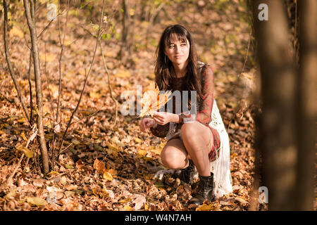 Foto di bella giovane donna raccoglie un mazzo di foglie nella foresta di autunno Foto Stock