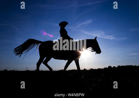 Silhouette cowgirl equitazione sulla piana aperta in western al tramonto in blu Foto Stock