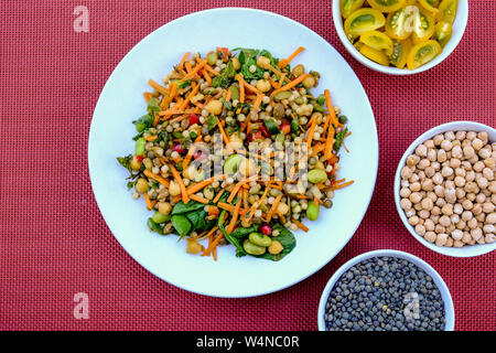 Vegetariano Insalata estiva con couscous e Edamame fagioli, lenticchie verdi, le carote e le erbe aromatiche Foto Stock