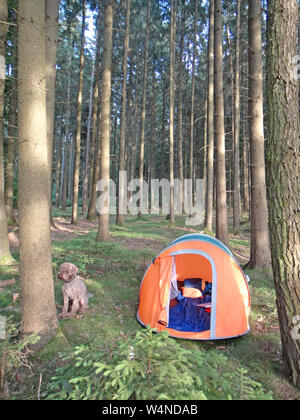 Due secondi tenda da campeggio in località Wold sfondo forestale arte stampe di alta qualità prodotti Foto Stock