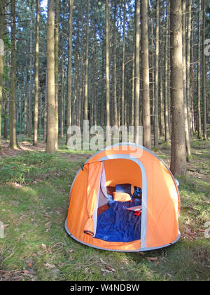 Due secondi tenda da campeggio in località Wold sfondo forestale arte stampe di alta qualità prodotti Foto Stock