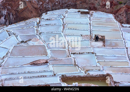 Lavoratore circondato dalle saline di Maras, Valle Sacra, Perù Foto Stock