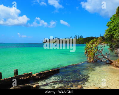 Isola tropicale nei Mari del Sud Foto Stock