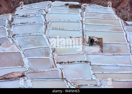 Lavoratore circondato dalle saline di Maras, Valle Sacra, Perù Foto Stock