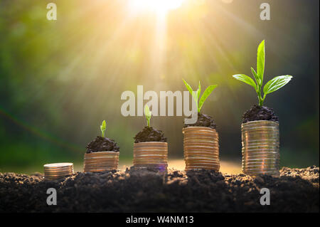 La crescita di denaro per un risparmio di denaro. Albero superiore monete al concetto illustrato ai cambiamenti di un business in espansione Foto Stock
