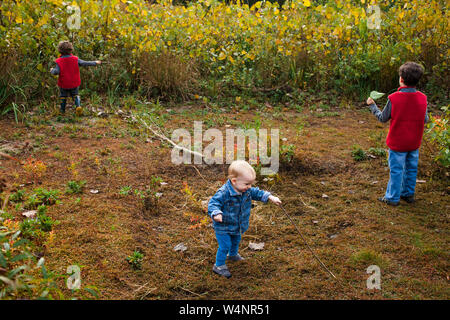 Tre piccoli bambini che giocano insieme in un campo d'oro Foto Stock