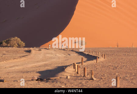 Sole e ombra colpo di dune 45 in Namibia Foto Stock