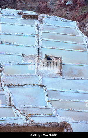 Lavoratore circondato dalle saline di Maras, Valle Sacra, Perù Foto Stock