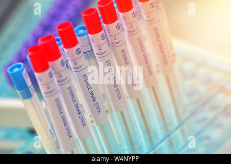 Prova sterile tubi di swap per il prelievo di campione di malattie della gola Foto Stock