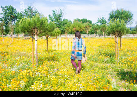 Vista posteriore di una donna nel vestire a piedi attraverso un campo di fiori tenendo un hat Foto Stock