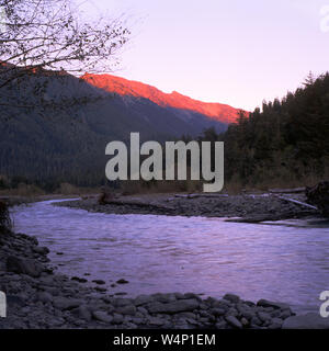 L'ultimo bit di risplendere di luce diurna una tonalità tendente al rosa sulla parte superiore dell'Hoh River Valley. Questa è la vista dal nostro campeggio a Prati di Lewis Foto Stock