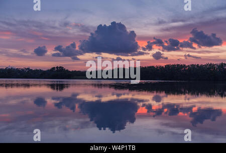 Paurotis stagno in Everglades National Park, Florida, Stati Uniti d'America - 16 Luglio 2018: il tramonto e riflessioni a Paurotis stagno nel parco nazionale delle Everglades vicino Foto Stock