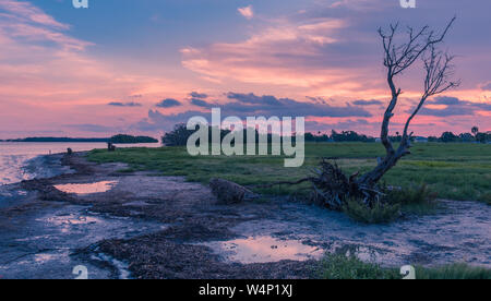 Flamingo Visitor Center, Everglades National Park, Florida, Stati Uniti d'America - 14 Luglio 2018: il tramonto in Everglades National Park in Florida con sagome di tre Foto Stock