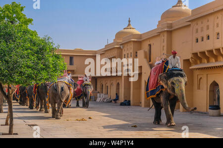 Forte Amber, Jaipur, Rajastan, India - 2 Aprile 2018: un gruppo di elefanti decorati montato da uomini non identificati nel cortile interno del Forte Amber Foto Stock