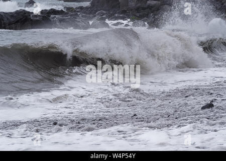 Le onde di laminazione su pietra costa al maltempo. Isola portoghese di Madeira Foto Stock