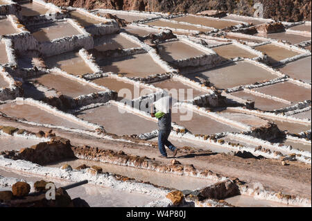 Lavoratore circondato dalle saline di Maras, Valle Sacra, Perù Foto Stock