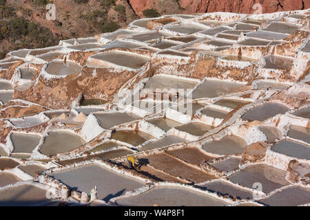 Lavoratore circondato dalle saline di Maras, Valle Sacra, Perù Foto Stock