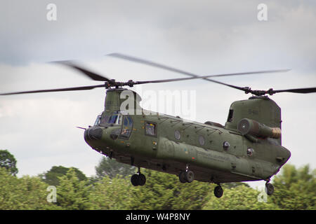 Dutch Chinook Foto Stock