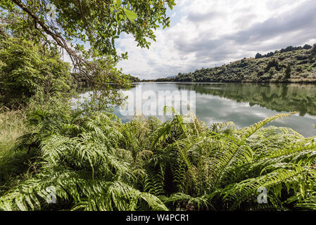 Immagine di panorama di lussureggianti lakeside scene in Nuova Zelanda Foto Stock