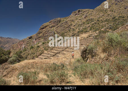 Terrazzamenti Inca presso le rovine di Huchuy Qosqo ("poco Cuzco'), la Valle Sacra, Perù Foto Stock