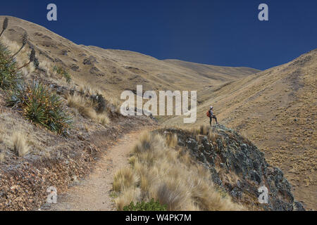 Il Trekking parte dell'originale Inca Trail per le rovine di Huchuy Qosqo, Valle Sacra, Perù Foto Stock