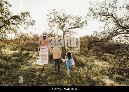 Vista posteriore della madre e bambini a piedi nel campo Foto Stock