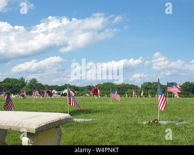 Cimitero del Memorial Day con flay su ogni pietra tomba a basso angolo di visione Foto Stock