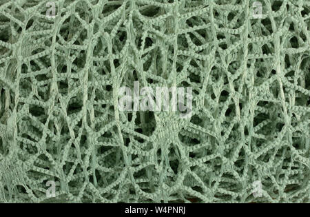 In prossimità dei crochet verde tessuto esprimenti il concetto di rimanere intrappolati in nastro Foto Stock
